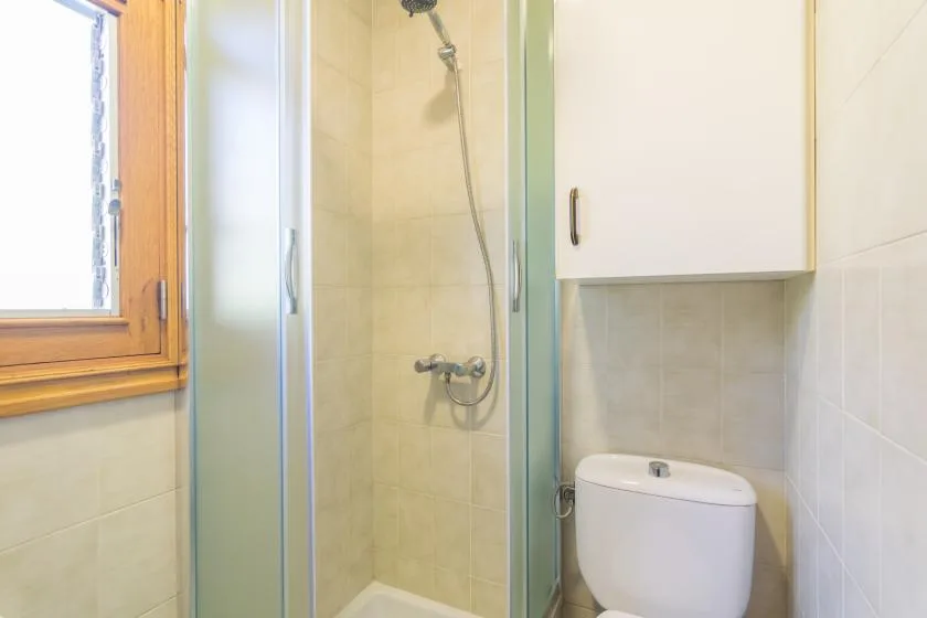 A bathroom with a glass-enclosed shower and a toilet beside a window.