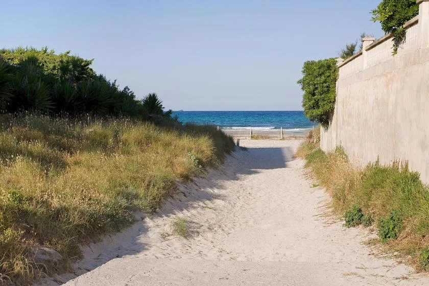 A sandy path leads through coastal vegetation toward the sea.
