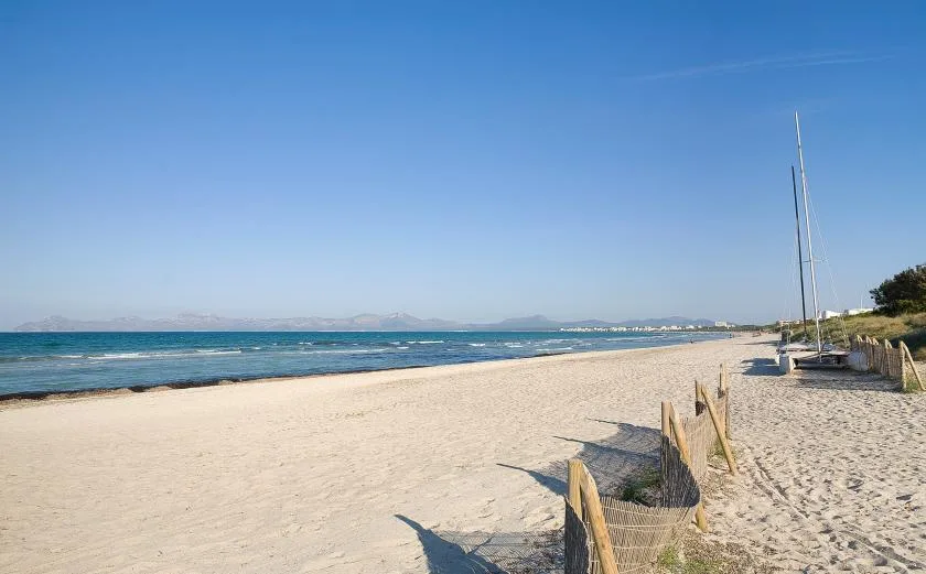 A sandy beach stretches beside calm blue water under a clear sky.