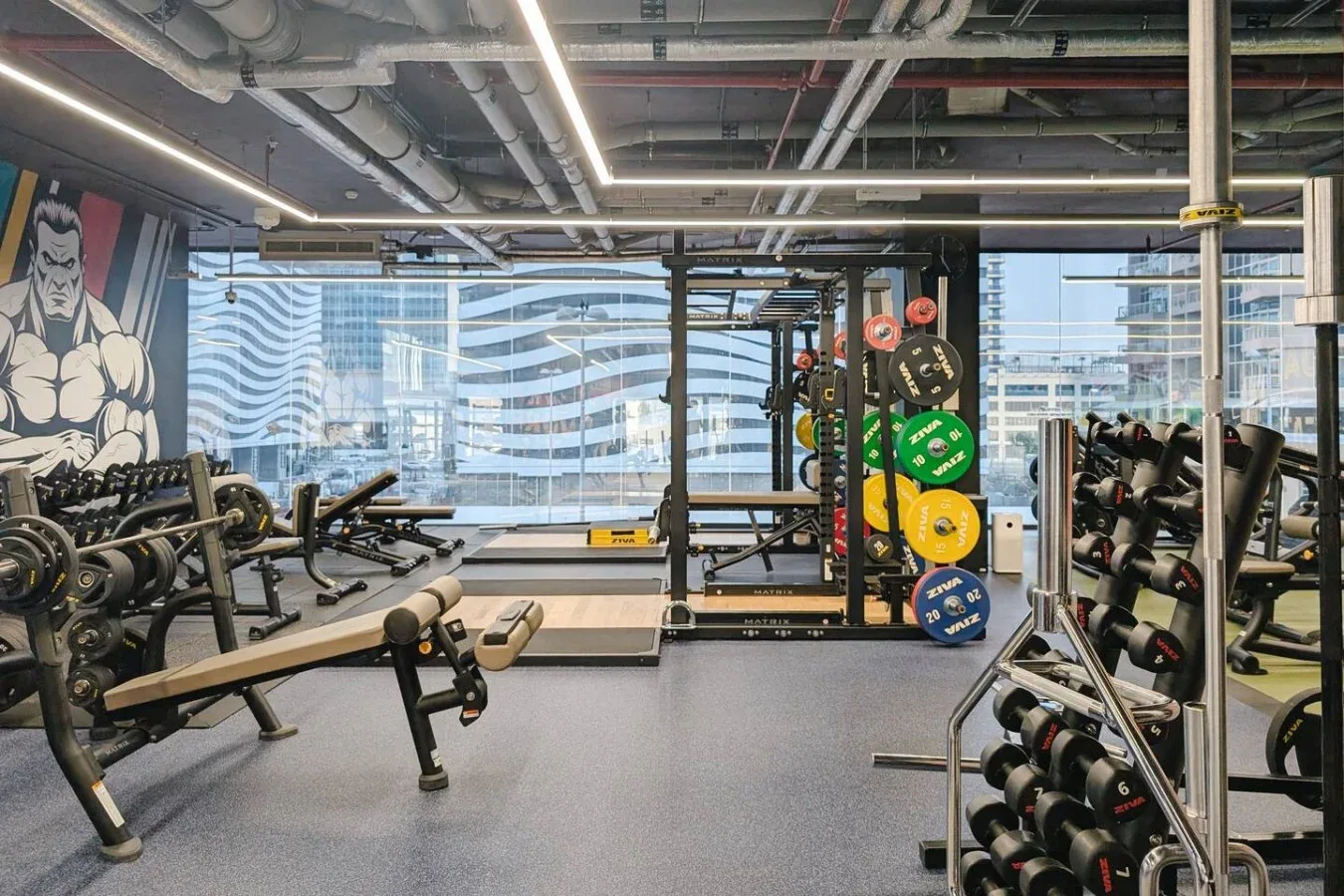 Un gimnasio con máquinas de pesas, barras y un soporte de discos de colores.