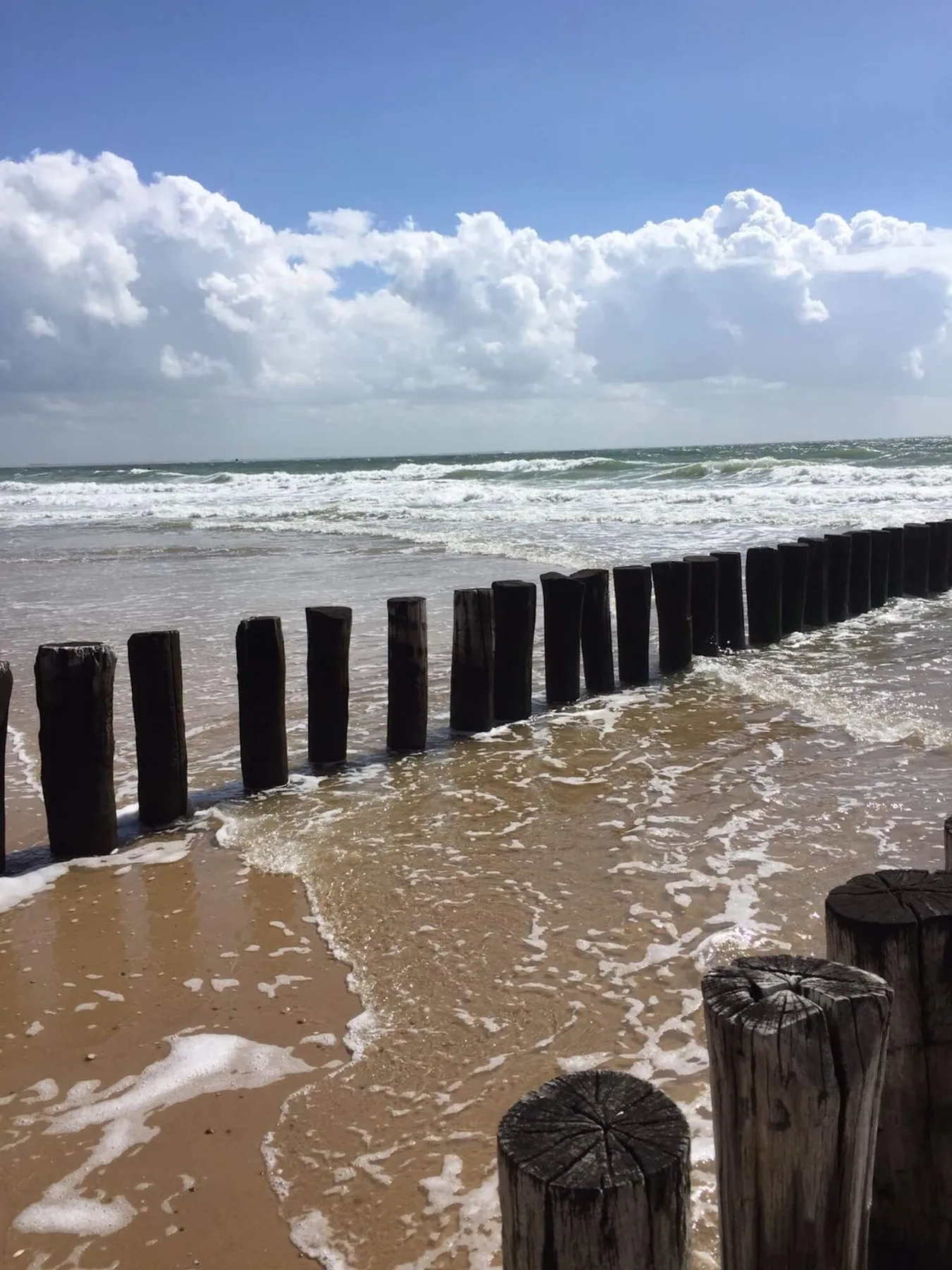 B&B Witvliet
