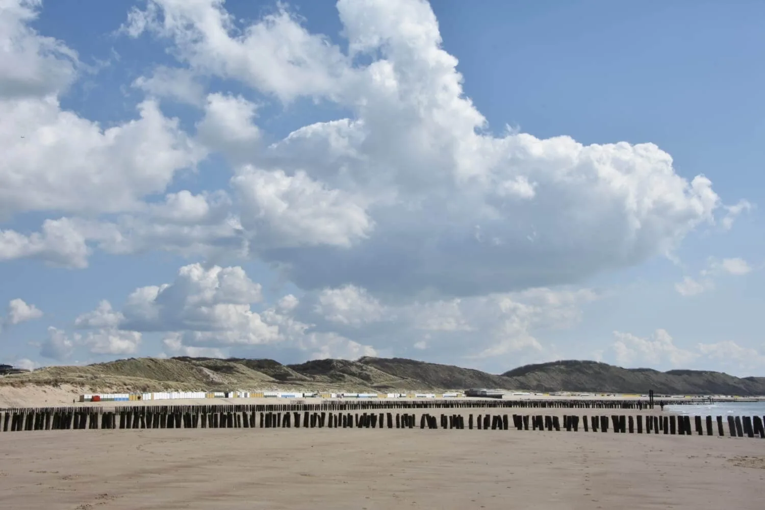 B&B Witvliet