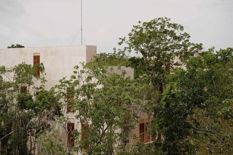Modern 4BR Jungle Villa w/ Great Pool in Tulum