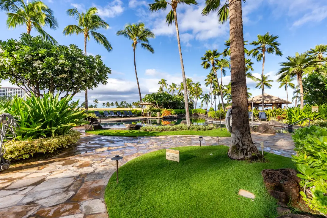 Un jardín tropical con palmeras, senderos de piedra y un estanque.