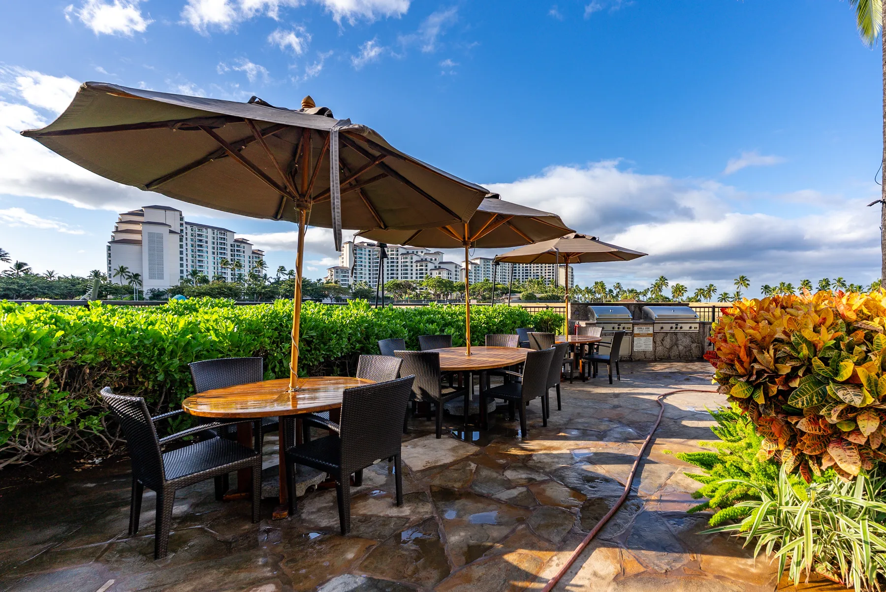 Comedor al aire libre con mesas, asientos y sombrillas grandes junto a plantas frondosas.