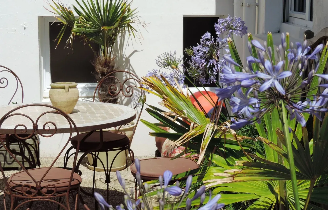 Patio del hotel