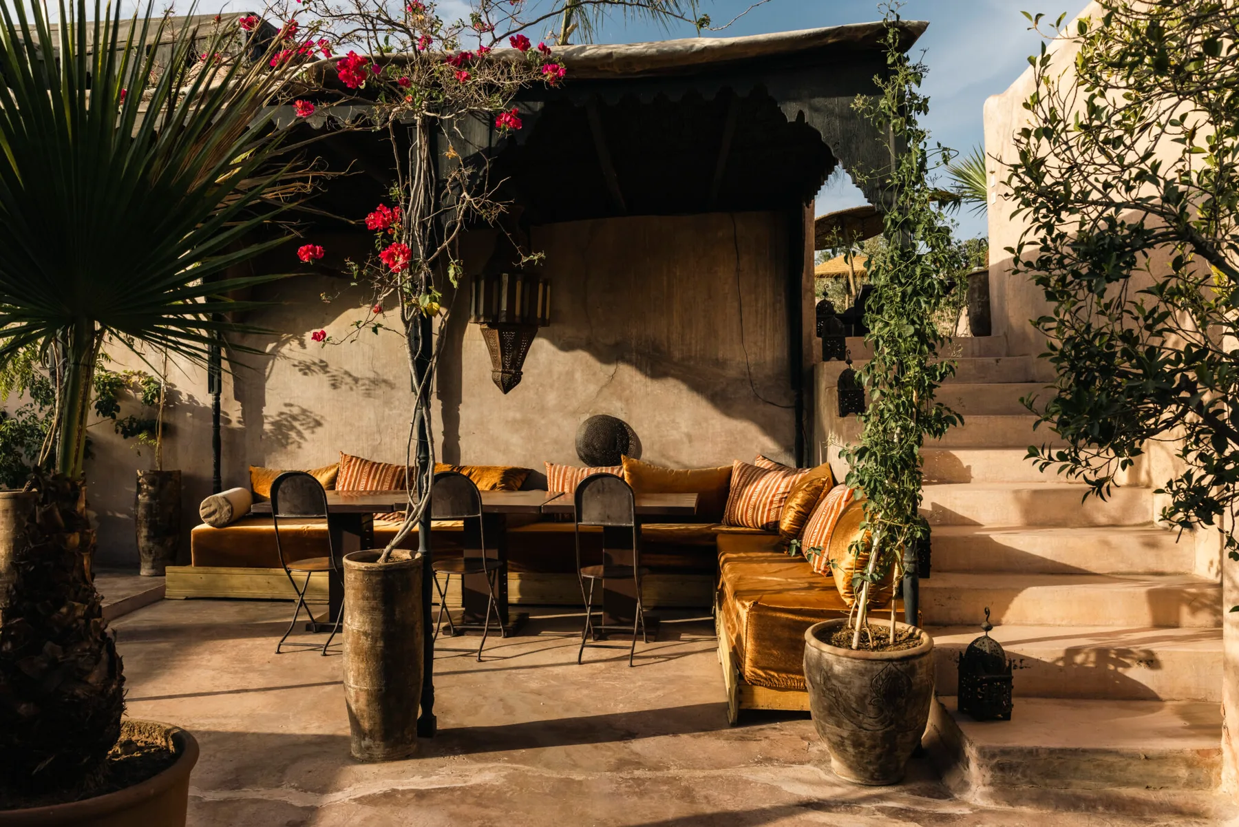 Dar Darma