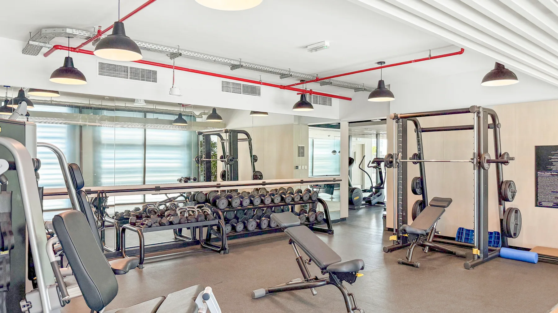 A bright gym with weight machines, dumbbells, and large windows.