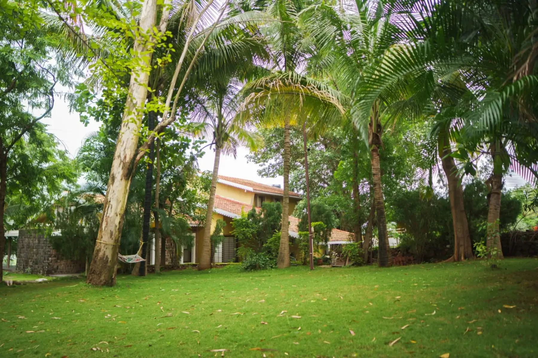 Image 31 of the property