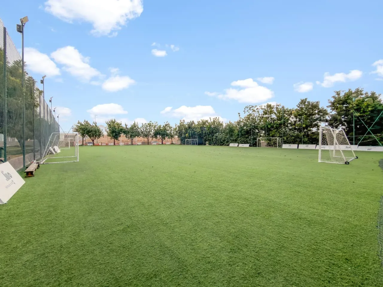 Una cancha de fútbol al aire libre con césped verde, porterías y árboles alrededor.