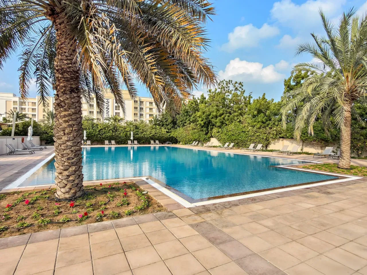 Una piscina al aire libre está rodeada de palmeras y una terraza pavimentada.