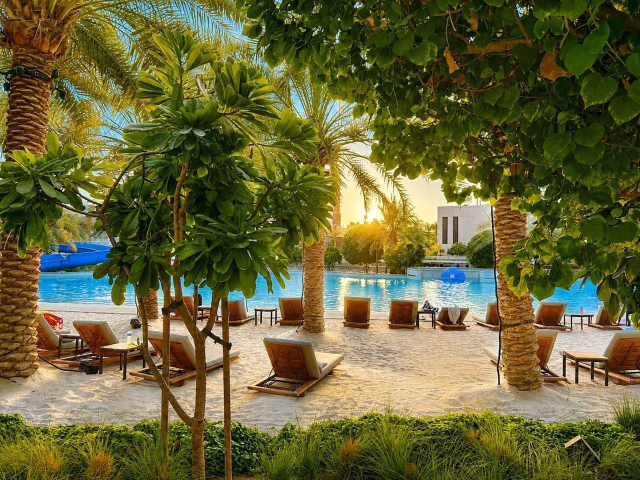 Una zona junto a la piscina con asientos bajo palmeras y follaje frondoso.