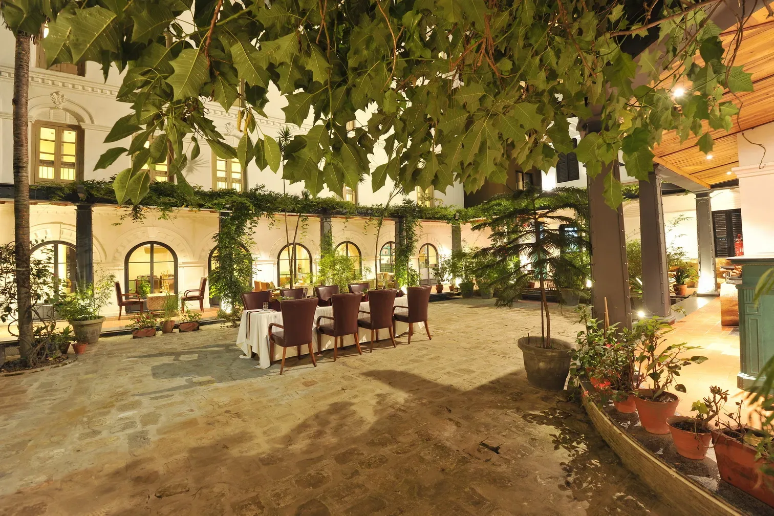 Garden courtyard dining table beneath the vine-covered veranda.