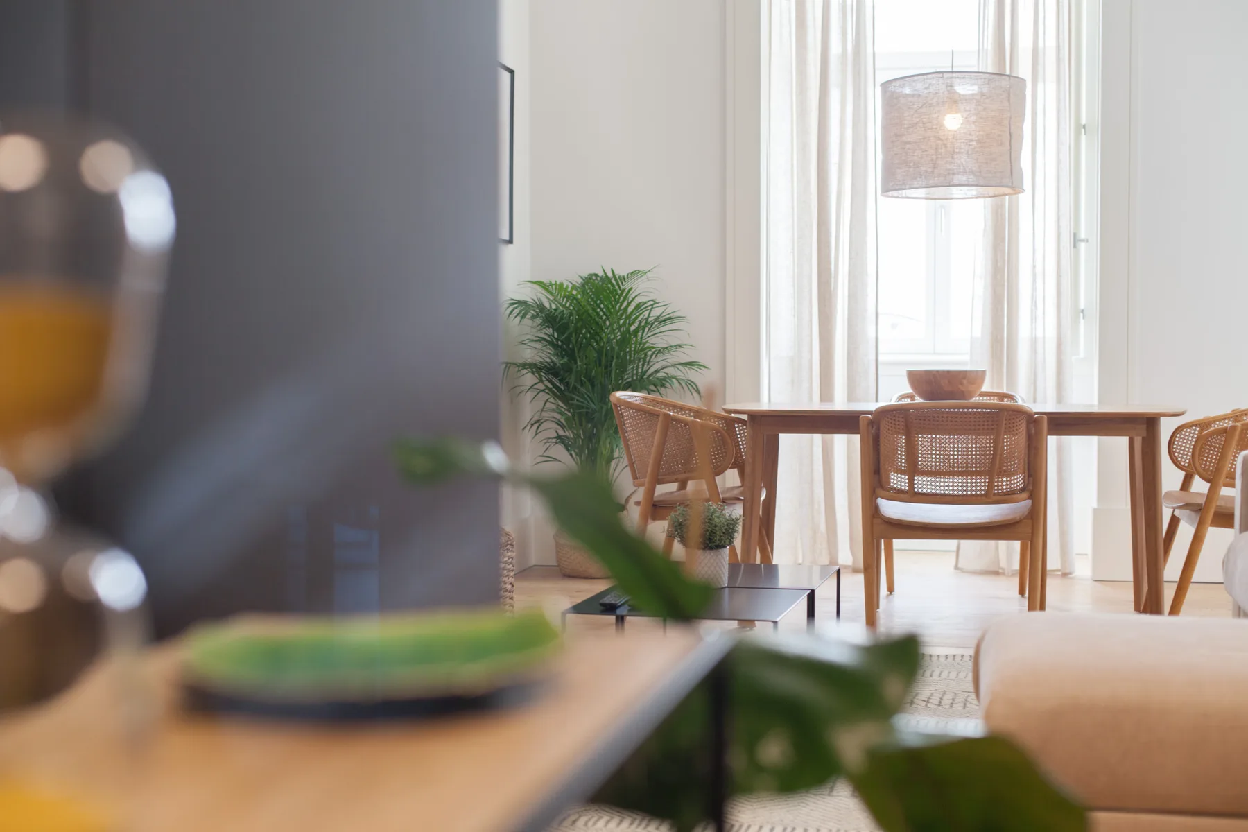 Un comedor luminoso con asientos de madera, una mesa y una planta en maceta.