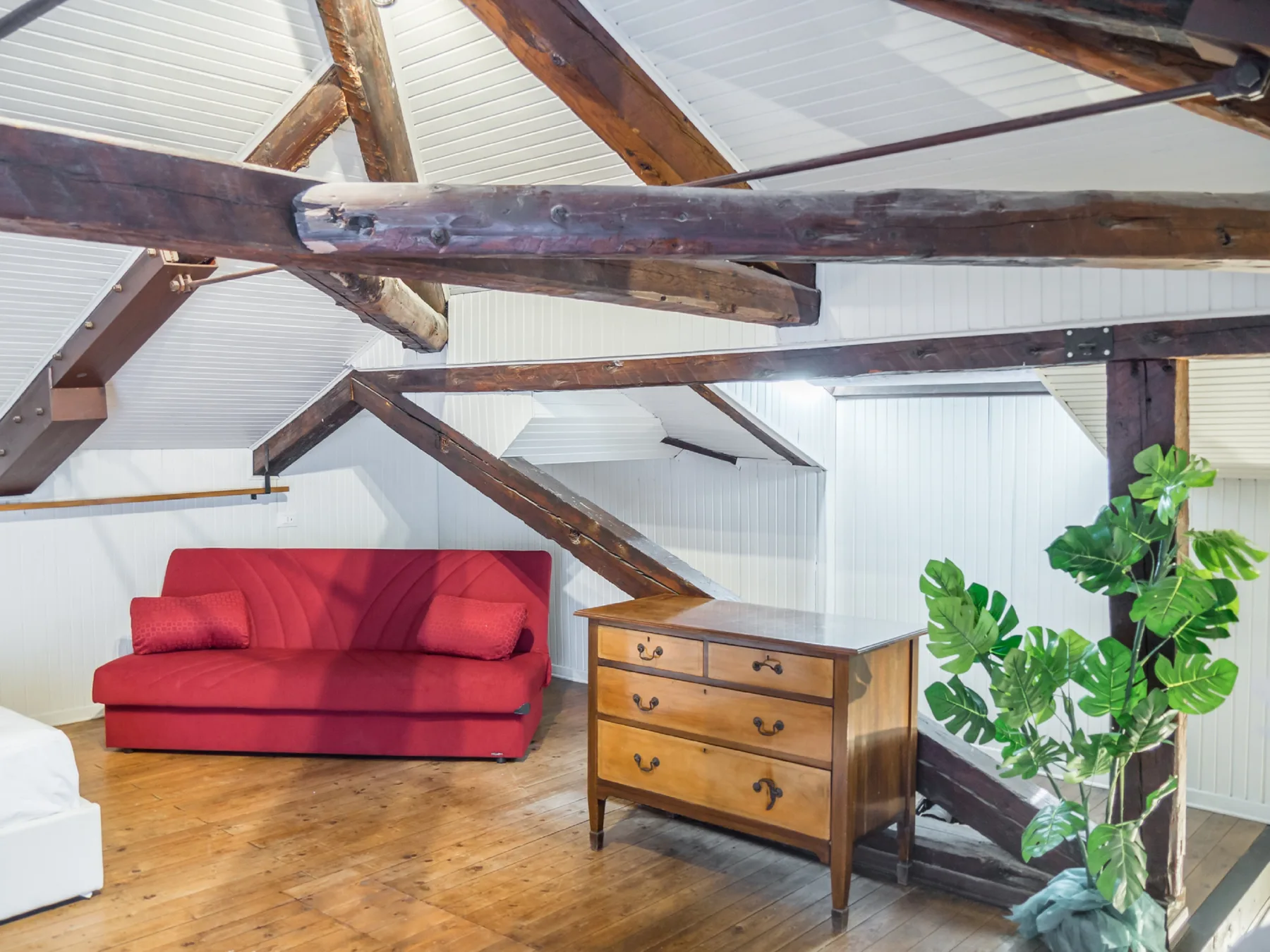 A bright attic room with a red sofa, wooden dresser, and leafy plants.