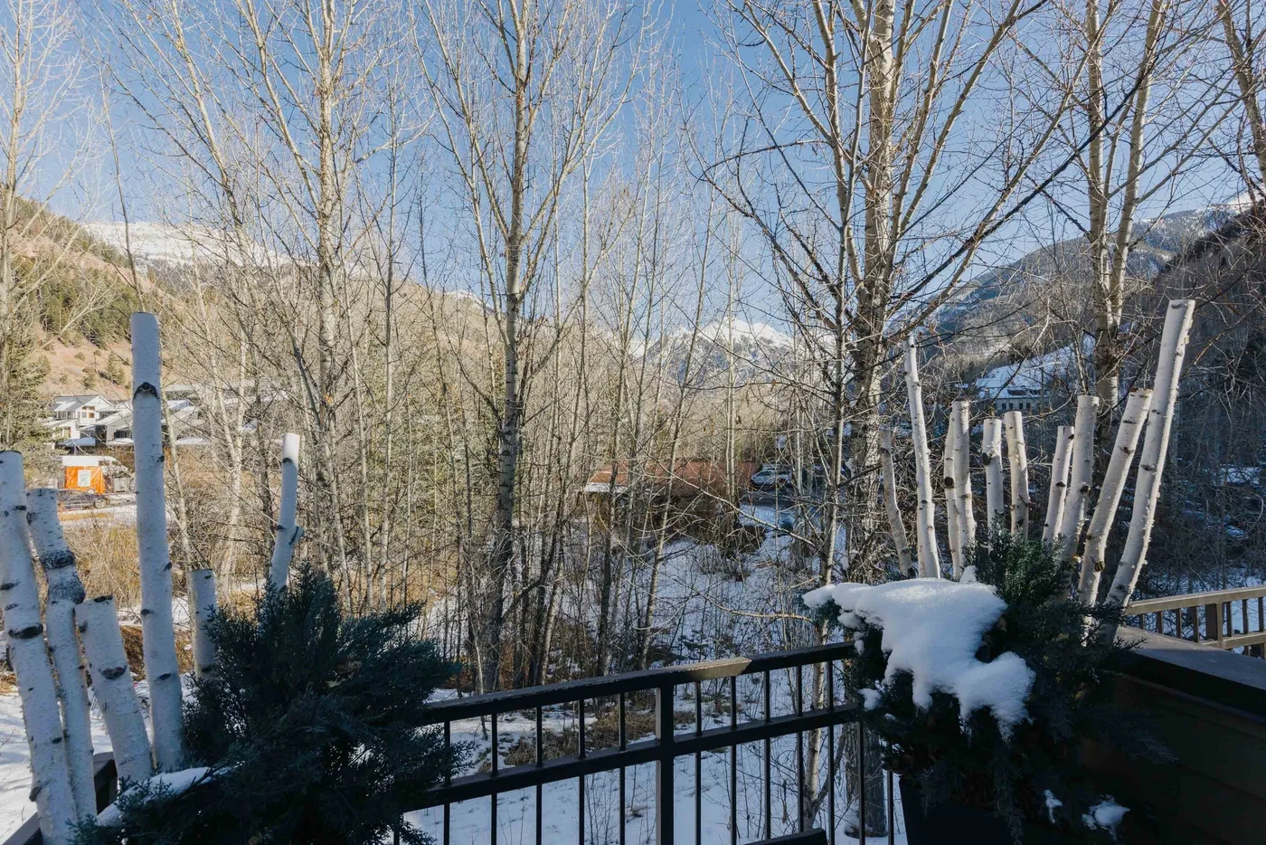 Un balcón nevado da a árboles sin hojas y un valle montañoso.