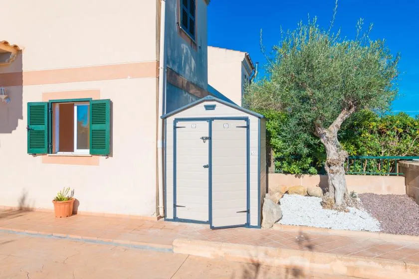A small garden shed stands beside a tree in a sunny outdoor courtyard.