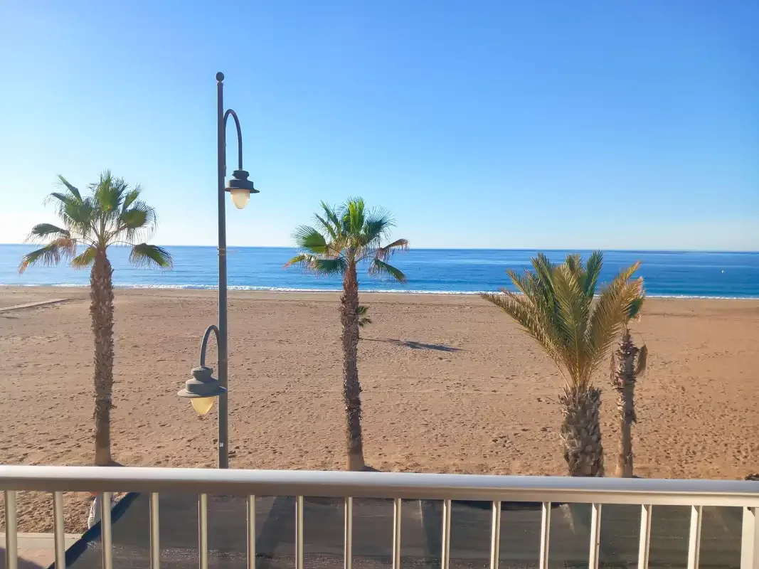 A sandy beach and blue sea are visible beyond a row of palm trees.