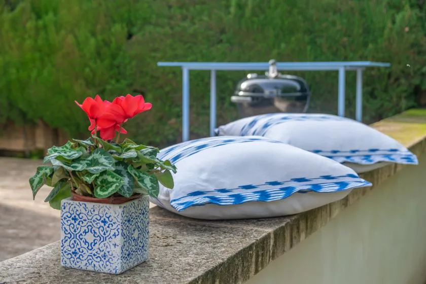 An outdoor poolside scene with a potted red flowering plant beside cushioned loungers.
