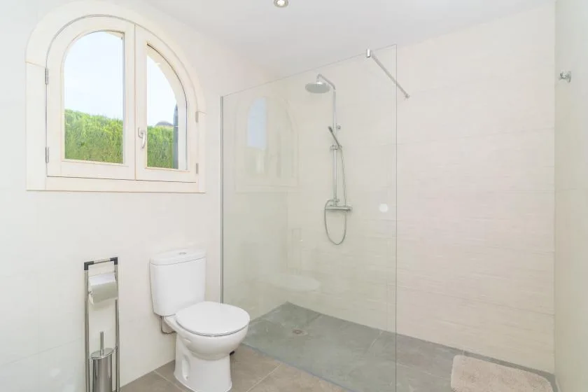A bright bathroom with a walk-in shower, toilet, and arched window.