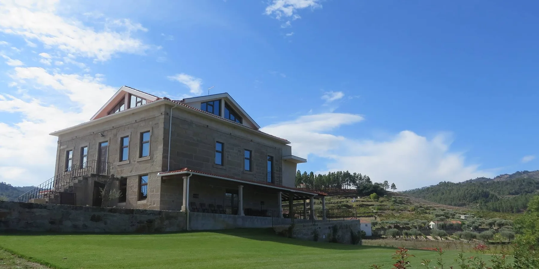 Paisaje de viñedos en Quinta do Palame