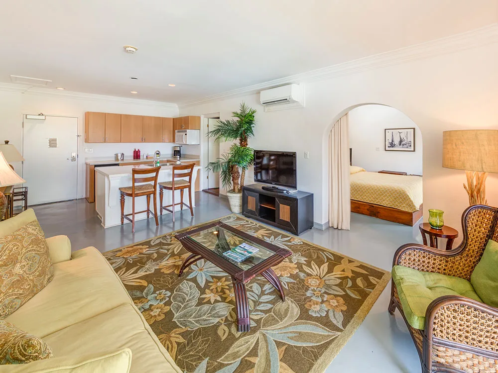 Penthouse interior