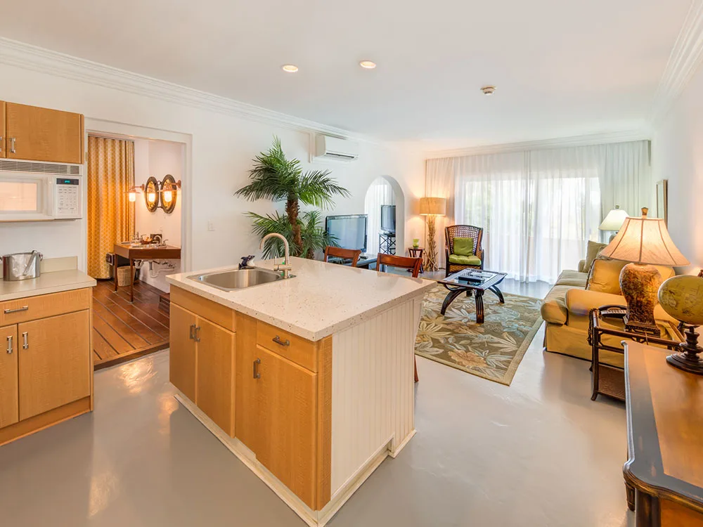 Penthouse interior