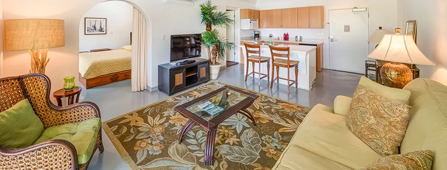 Penthouse suite