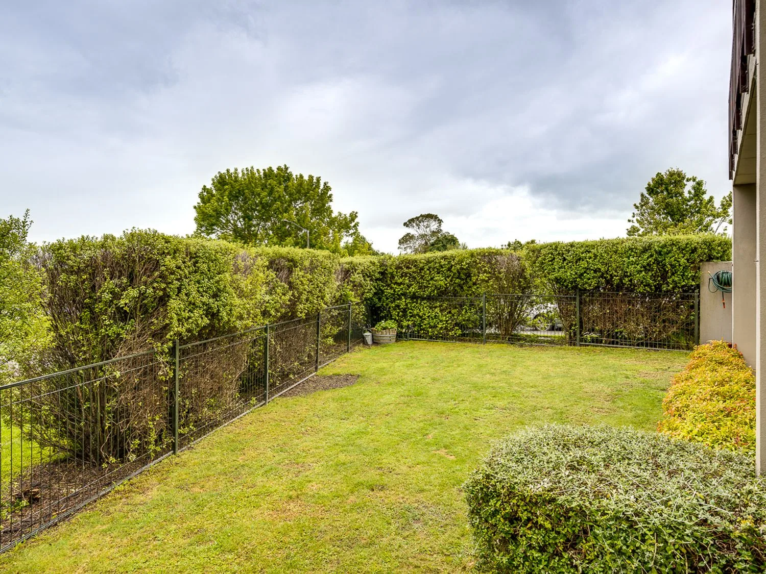 A fenced garden with a grassy lawn, hedges, and trees.