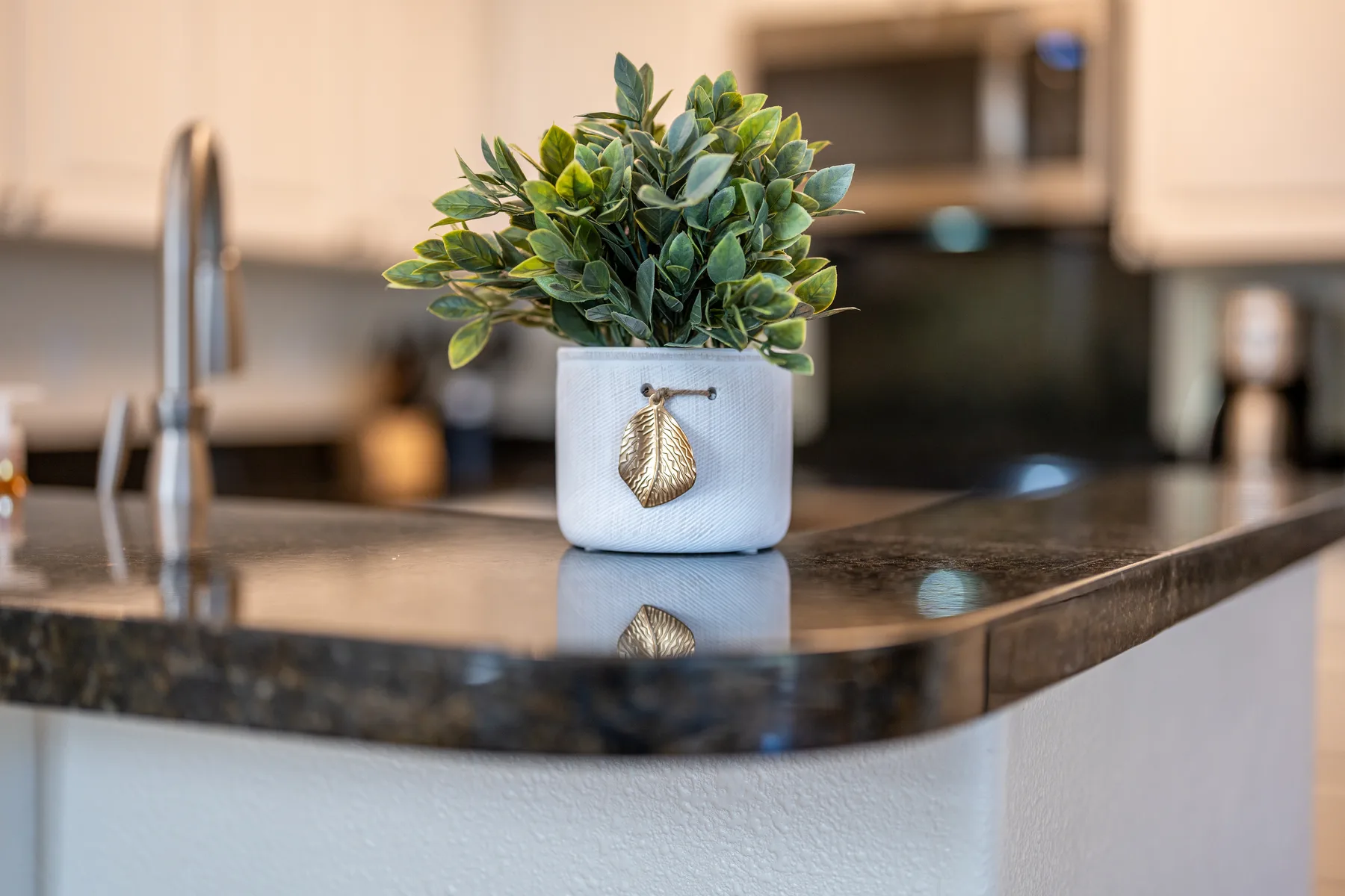 A leafy potted plant sits on a polished kitchen counter.