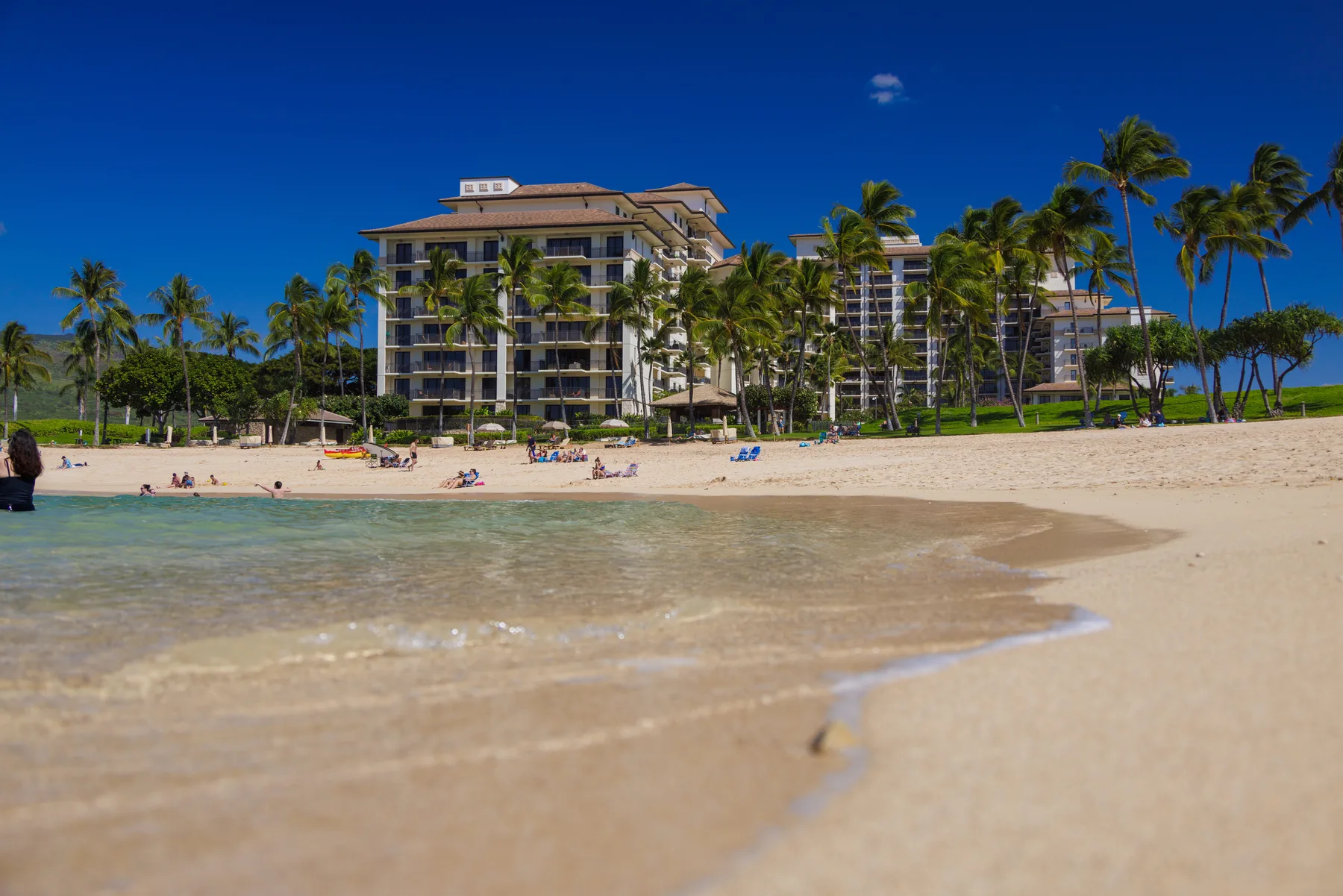 A sandy beach and shallow water sit in front of a palm-lined resort.