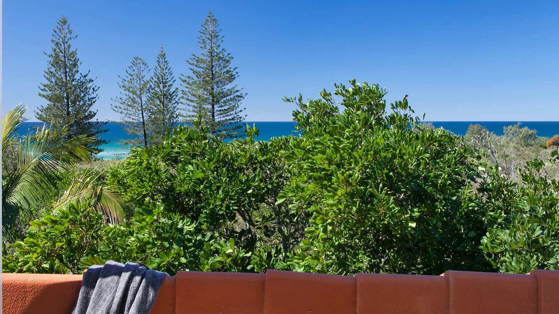Un patio al aire libre con vegetación da al océano y a una franja de playa.