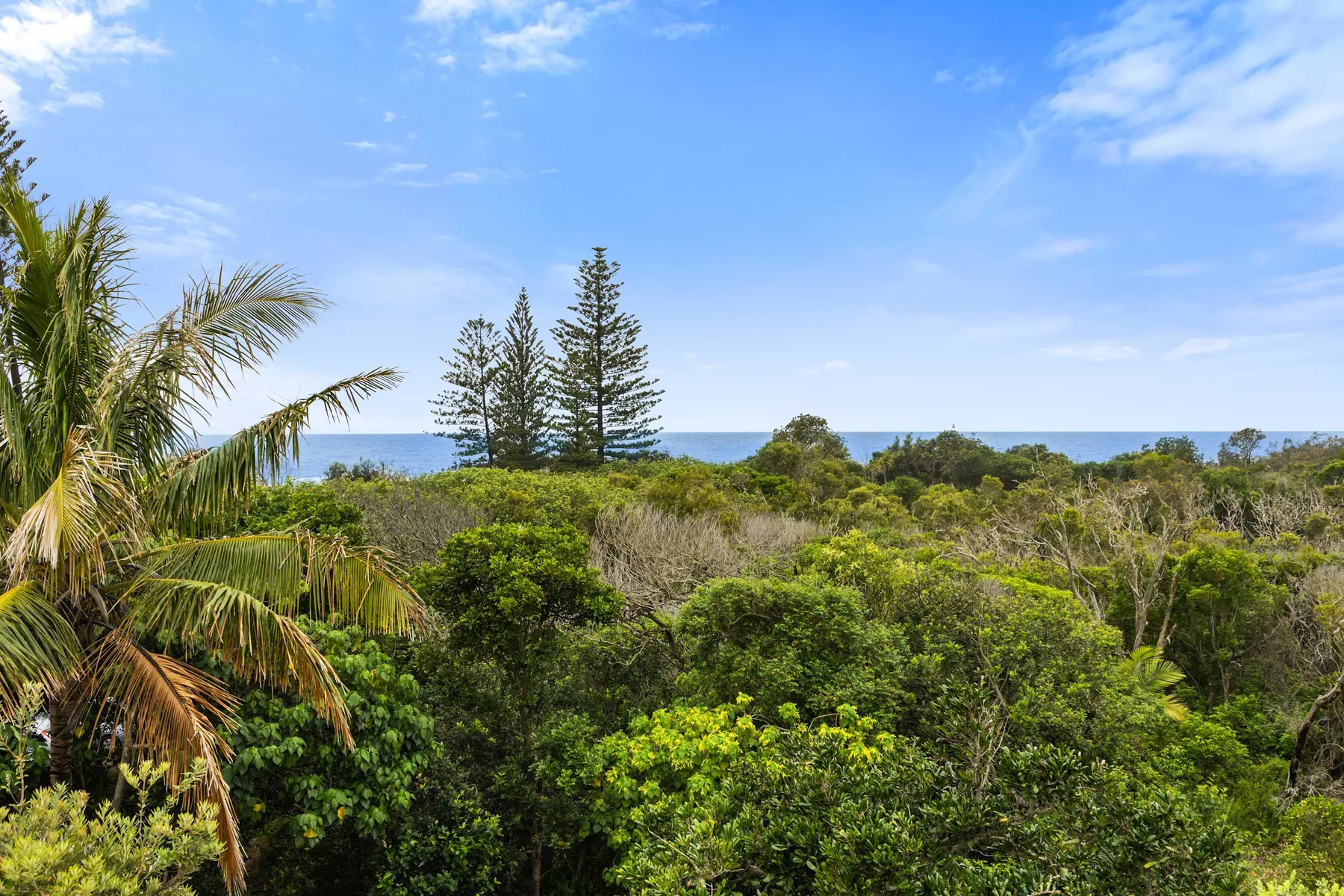 Paisaje costero con vegetación verde, palmeras y vistas al océano.