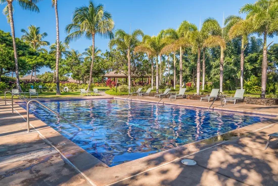 A swimming pool sits among palm trees and lounge seating.