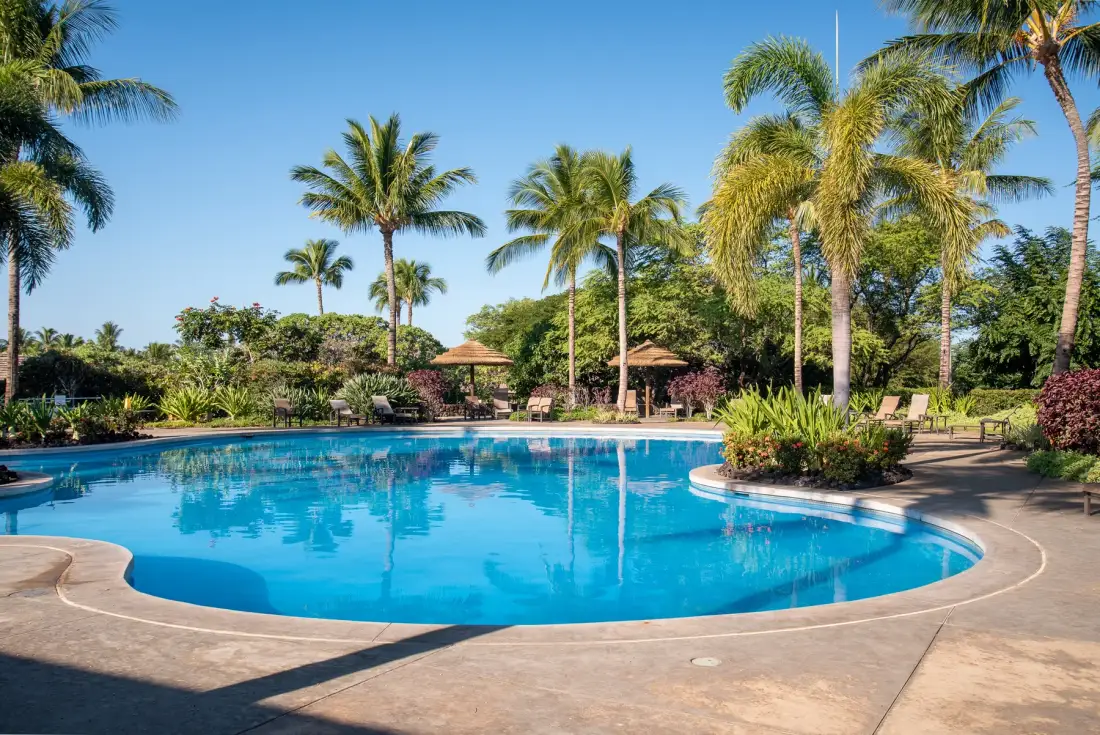 A curved outdoor swimming pool is surrounded by palm trees and tropical greenery.