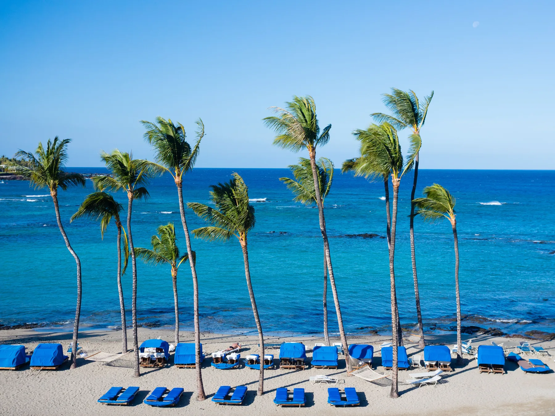 A tropical beach with palm trees and blue lounge chairs beside the ocean.