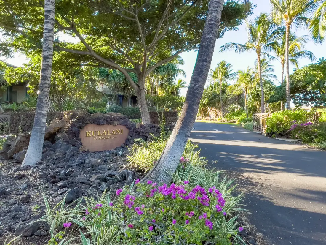 A paved road passes landscaped tropical grounds beneath palm trees.