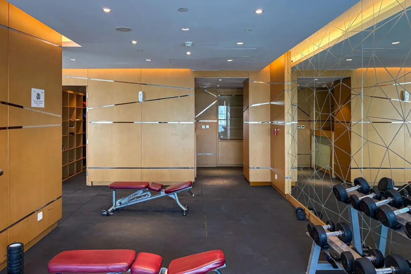 Un área de gimnasio con pesas y un banco de ejercicio.