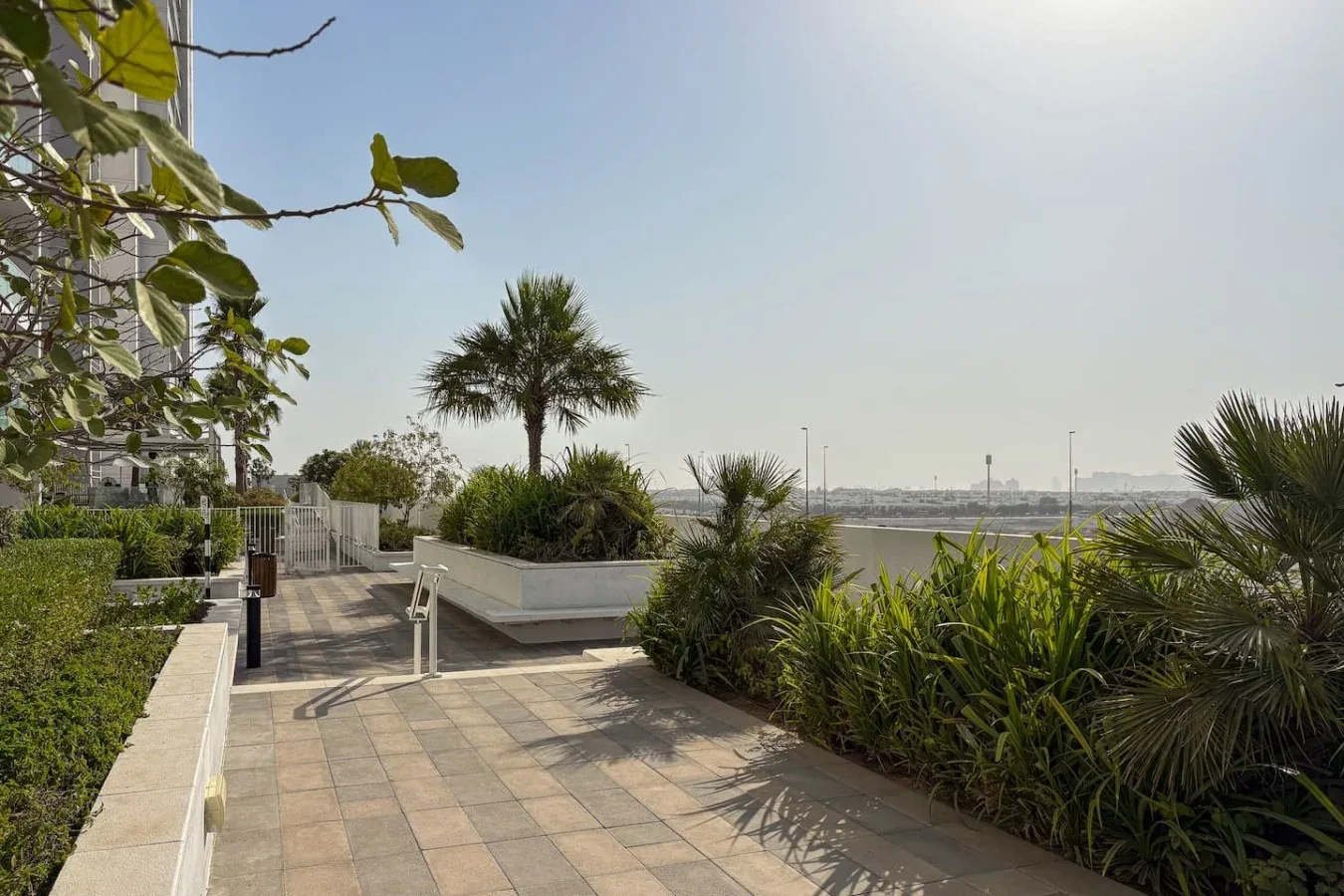 Una terraza exterior pavimentada, rodeada de plantas frondosas y palmeras.