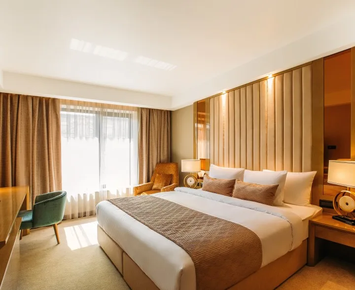 Deluxe King room