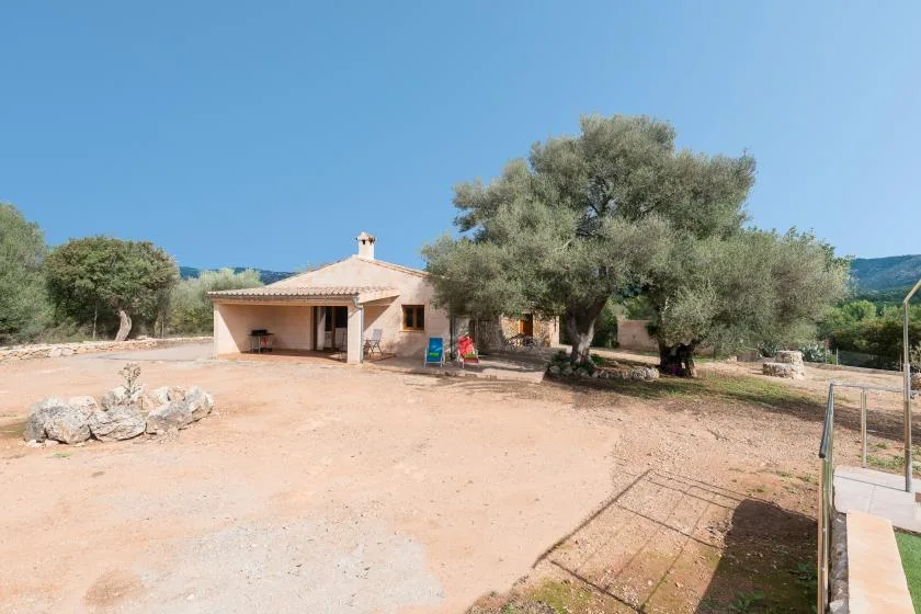 A small house sits beside a large tree in a broad dirt yard.