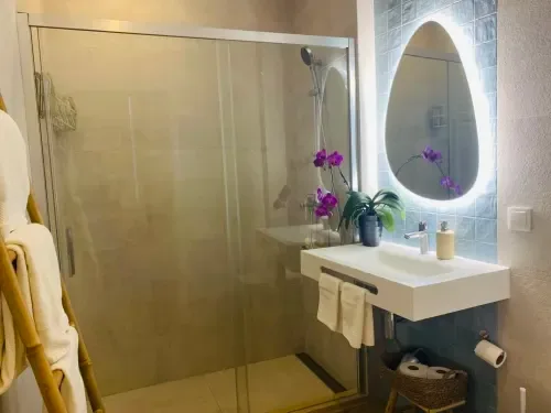 Modern bathroom at Santa Cruz Historic Guest House in Lagos with a spacious shower, illuminated oval mirror and purple orchids
