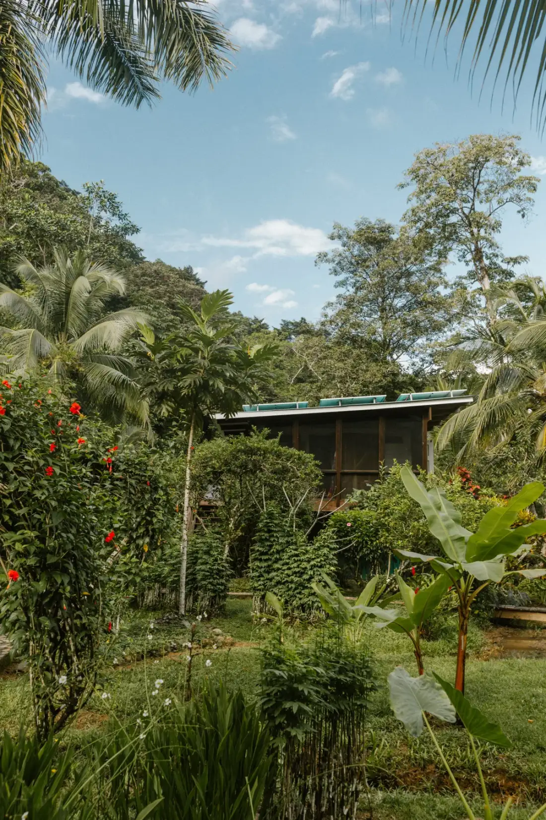 Casa Florecer