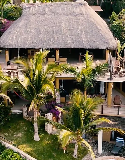 Bird's-eye view of the property