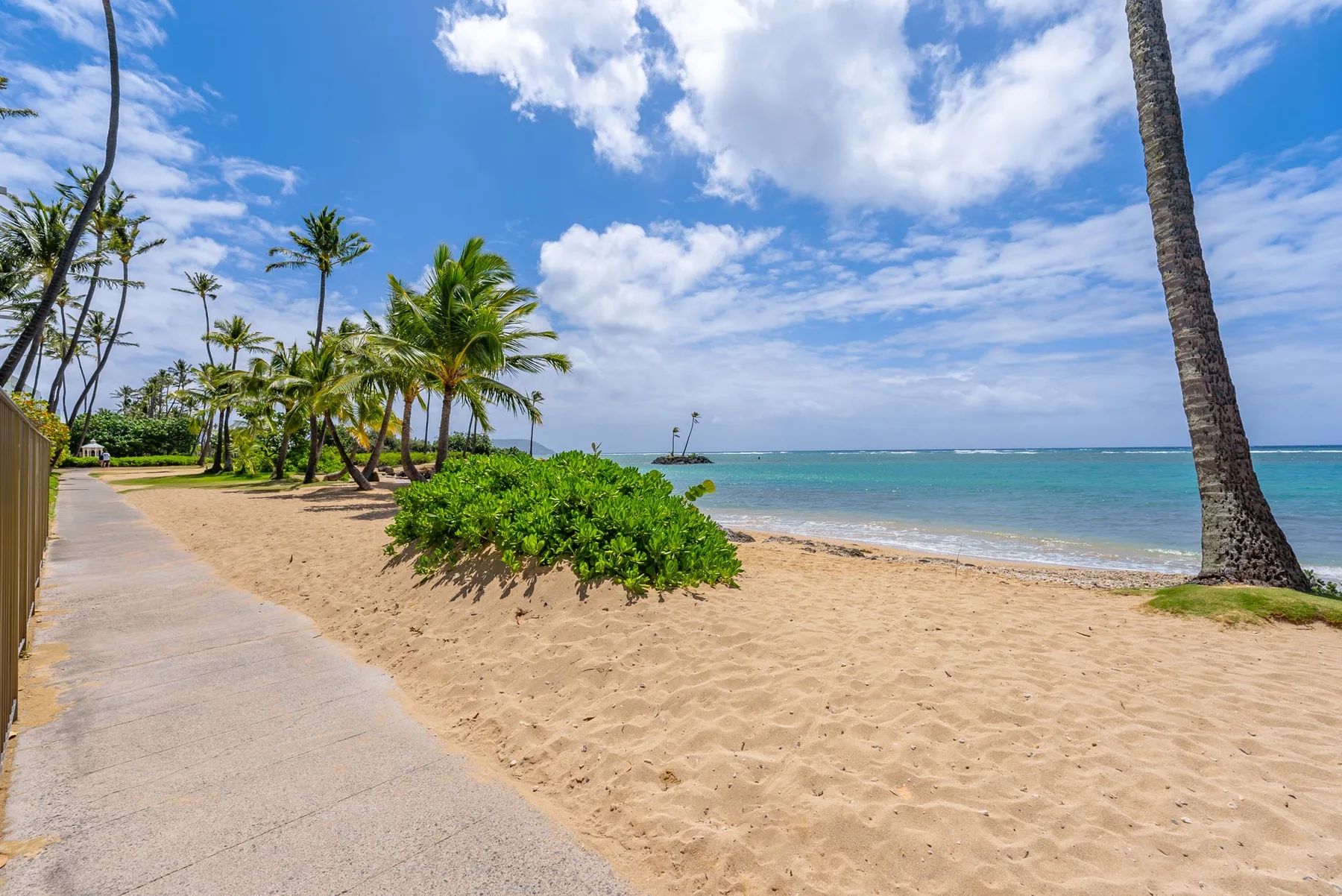 A sandy beach beside a paved path, palm trees, and calm ocean water.