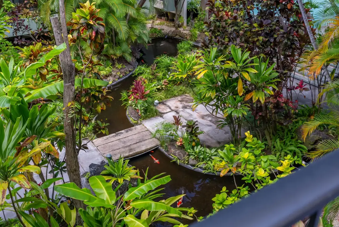 A lush tropical garden surrounds a small pond and stone footbridge.
