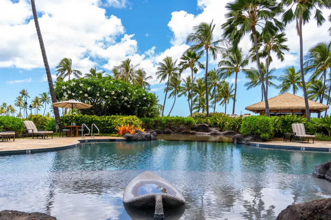 Una piscina tropical está rodeada de palmeras y asientos para relajarse.