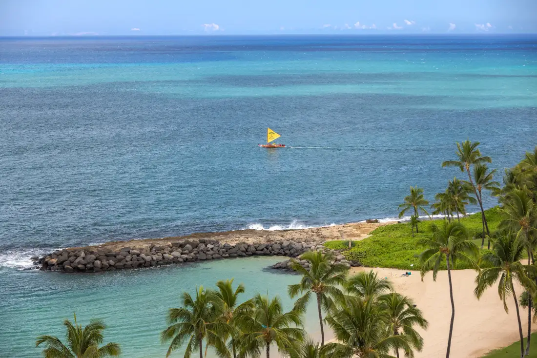 Una playa tropical con palmeras bordea aguas azules y un rompeolas rocoso.