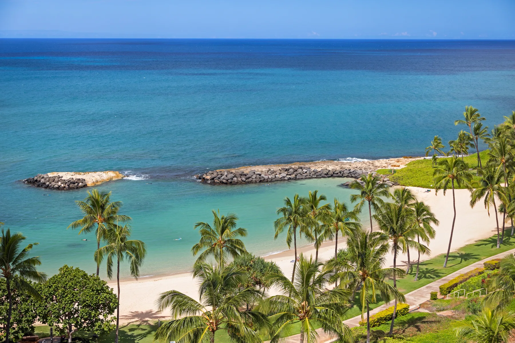 Una playa tropical con palmeras y agua turquesa.