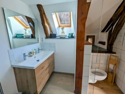 Chambre Printemps bathroom with a vanity and skylight.